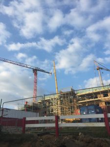 Crane News