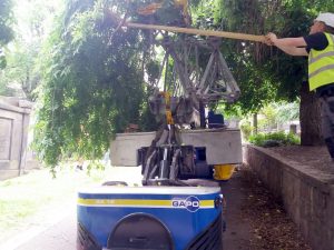 Using the Gapo