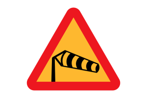 wind warning for safe operation of self erecting tower crane