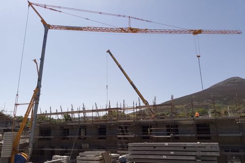 igo50 crane for sale